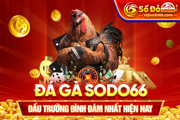 đá gà sodo66